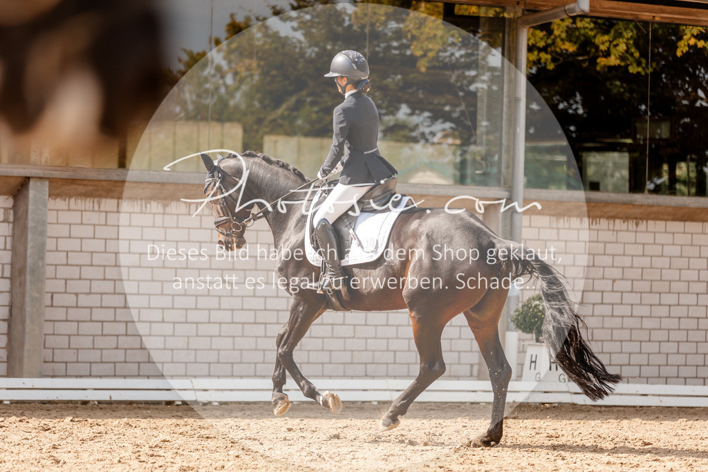 3I6A4008 | Stimmungsvolle Portraits und Reitsportfotografie im Ruhrgebiet und im Münsterland.

Pferdefotografie, Hundefotografie, Tierfotografie, Reportagen, Portraits von Tier und Mensch, Turnierfotografie in Bochum, Recklinghausen, Marl, Haltern am See, Dülmen.. - Realisiert mit Pictrs.com