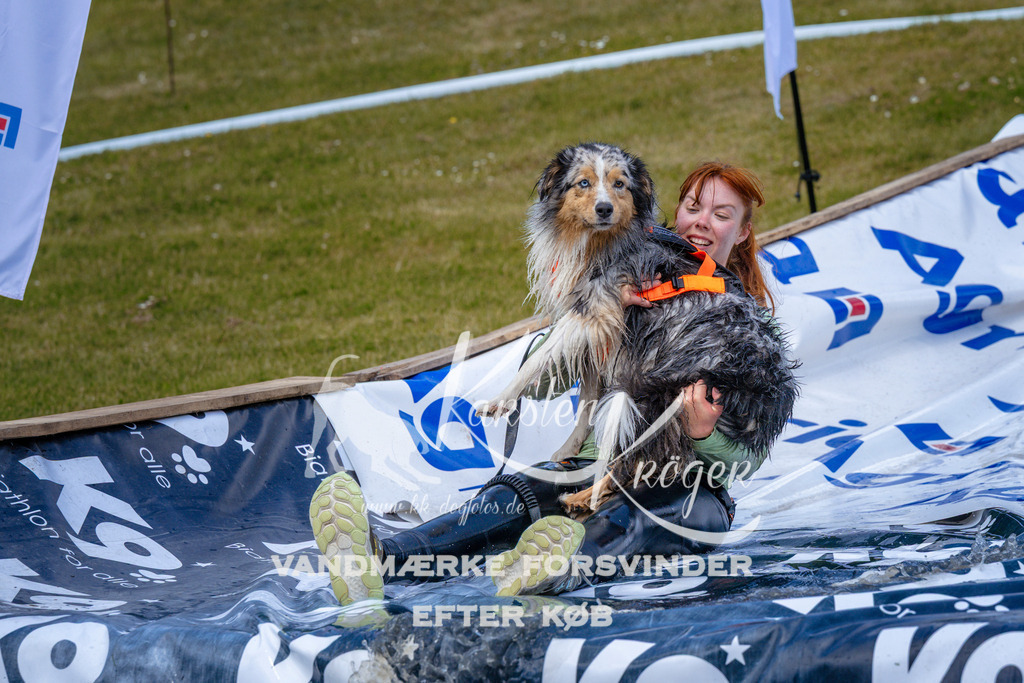 _ZZ998731058 | kk-dogfotos