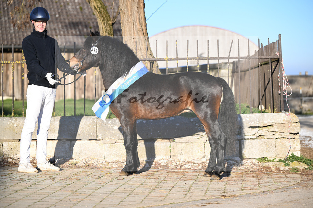 Kat-Nr. 19 Hells Hadrian v. Hells Bells_Guenthner_49250872 | hf-fotografie - Realisiert mit Pictrs.com