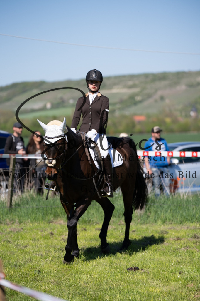 A7V01418 | Pferdefotograf