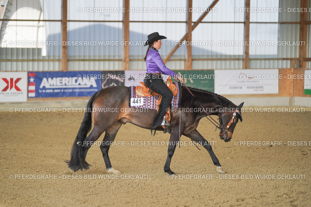 DSC09018 | Pferdegrafie