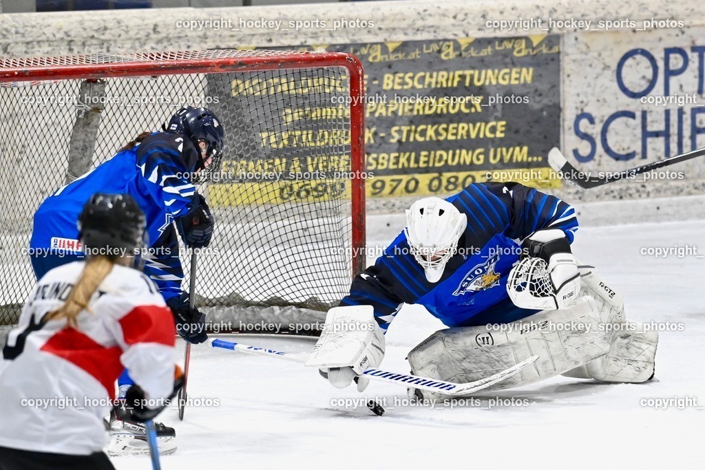 BST_3353 | hockey sports photos, Pressefotos, Sportfotos, hockey247, win 2day icehockeyleague, Handball Austria, Floorball Austria, ÖVV, Kärntner Eishockeyverband, KEHV, KFV, Kärntner Fussballverband, Österreichischer Volleyballverband, Alps Hockey League, ÖFB, 