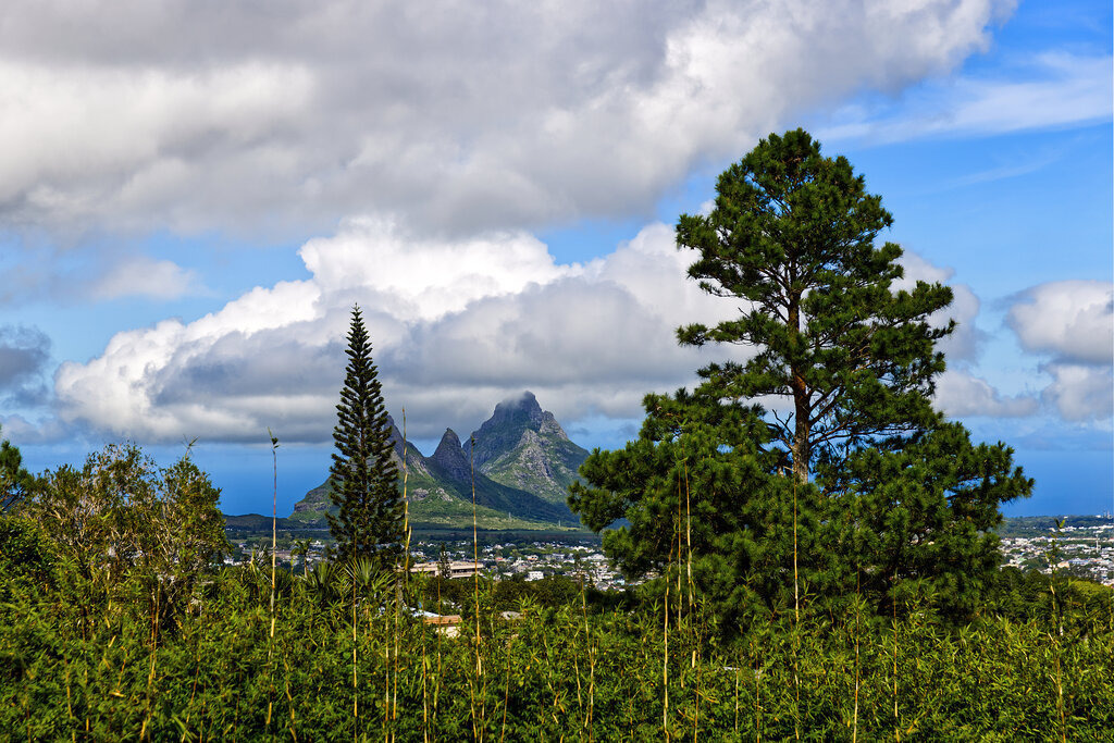 1H5A6531a | ansichtssache