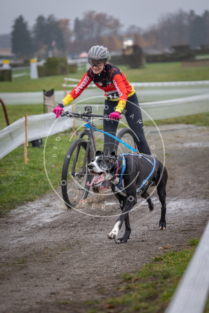CaniXpix_0L8A0674 | Hundefotografie, Tierfotograf, Pfotenfotografie, Fotoshooting Hund, Hunde Portrait, Hundesport, Hundeportraits, Heideshooting, Hunde, Sportfotograf, Hundefotograf, Turnierhundsport, THS,  - Realisiert mit Pictrs.com