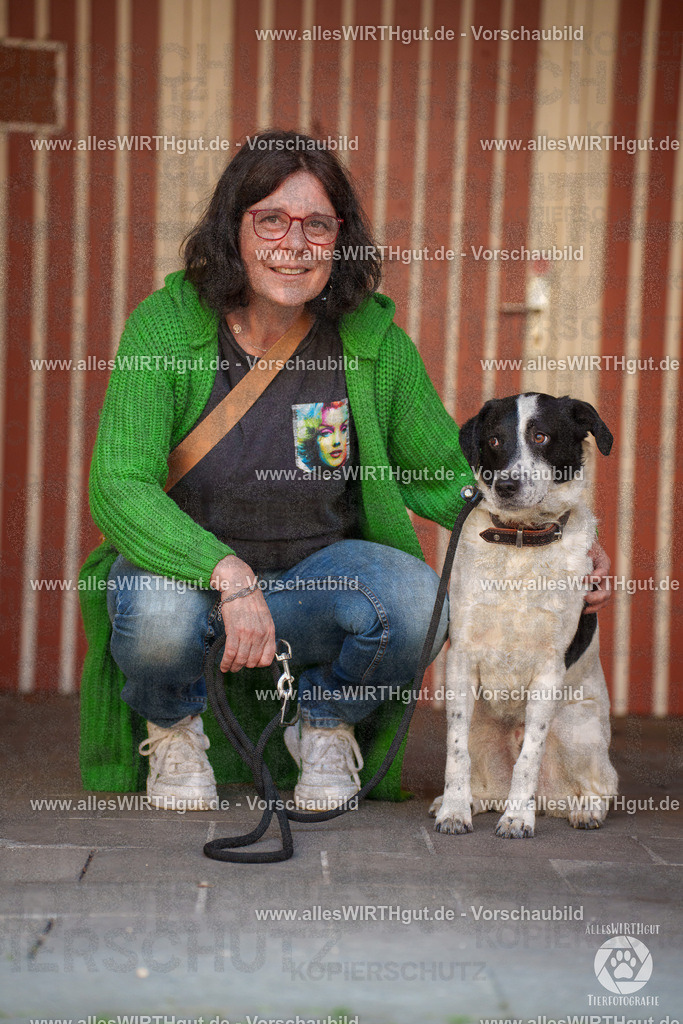 Pfötchenmarkt Nettetal-Lobberich 2026 - Nettetal-Tag - Daniel Wirth - www.allesWIRTHgut.de - @allesWIRTHgut_Tierfotografie 7R508484 | Professionelle Tierfotografie in Mönchengladbach von Daniel Wirth (allesWIRTHgut). Liebevolle & natürliche Bilder von Hunden & Katzen für unvergessliche Erinnerungen.