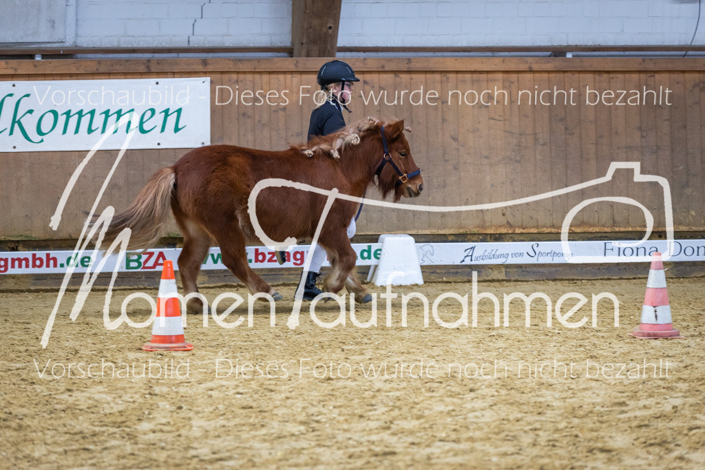 Sth-WBO25-Führ-WB-090 | MomenTaufnahmen Pferdesportfotos