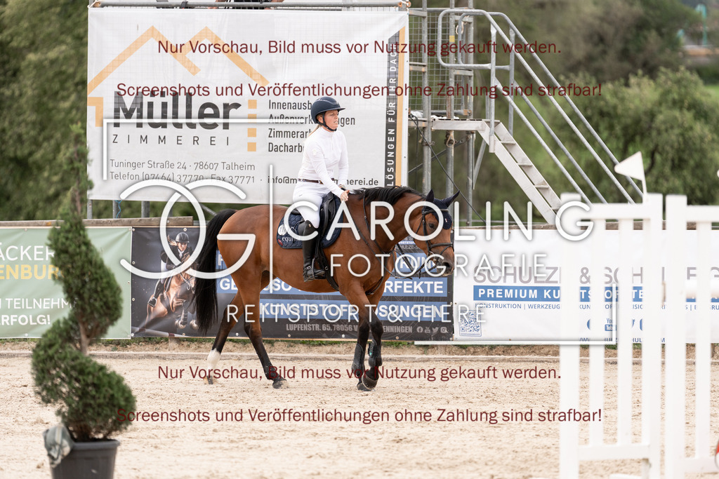 DSC06779 | Springturnier_Teamchallege_Talheim_2026, Clarissa_Schwär, Cranberry_19