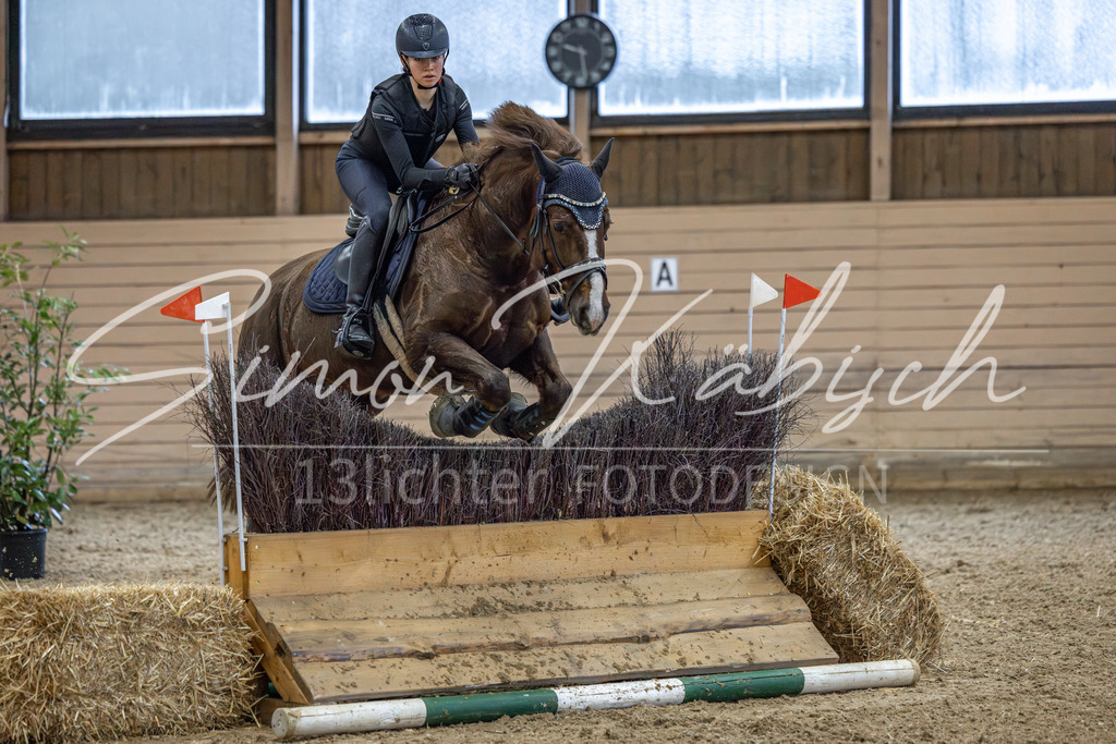 20260222-_3LI1251 | Tierfotografie Pferde, Hunde, Katzen, Haustiere.
Turnierfotografie Reitturniere, Reiten, Springreiten, Dressur in Hanau, dem Main-Kinzig-Kreis und dem Rhein-Main- Gebiet um Frankfurt