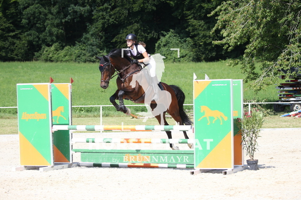 DL2Q1380 | Willkommen bei Brunnmayr - Design & Fotografie – Ihrem Spezialisten für Reitturniere und Pferdeveranstaltungen in Oberösterreich, Salzburg und Bayern! Seit über 17 Jahren sind wir leidenschaftlich dabei.