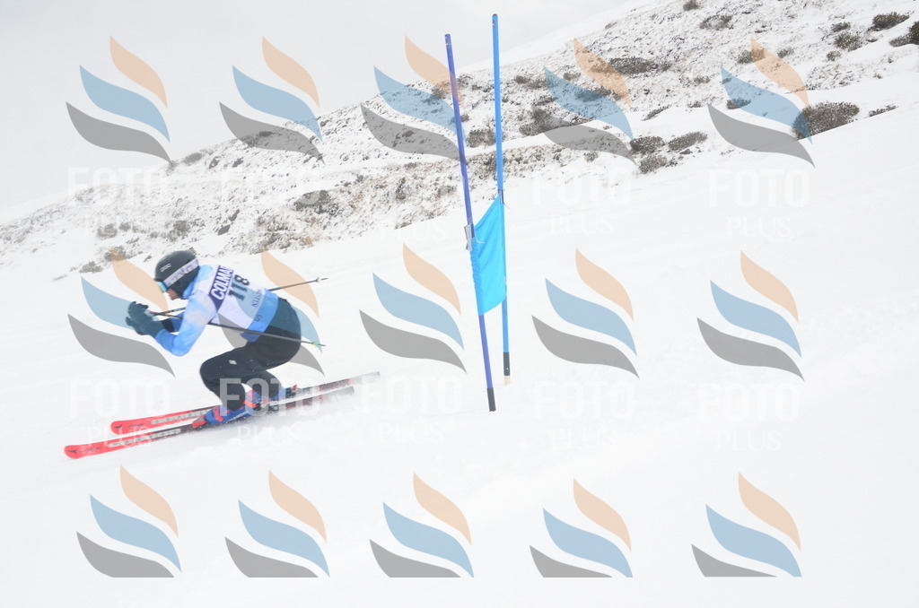 A6002 | holidayphoto