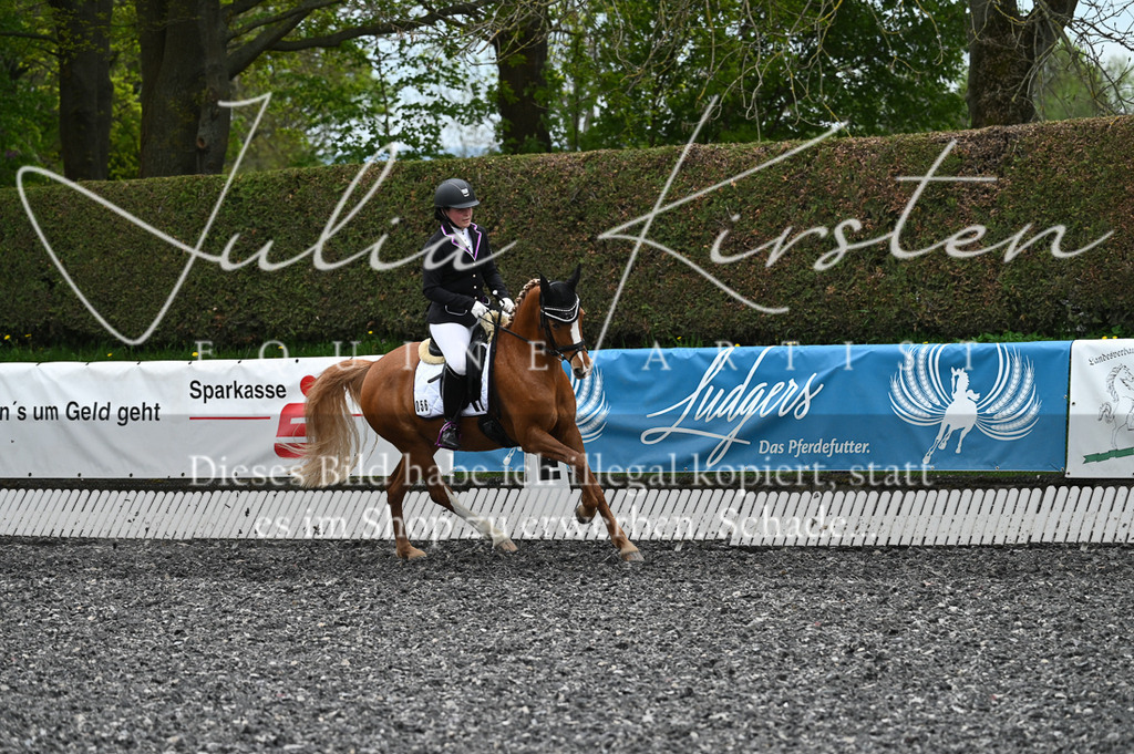 20230512_JK-Röhrsdorf-07-163 | Pferde- und Turnierfotografie in Westsachsen. Pferdeportraits, Auftragszeichnungen und intuitive Kunst.