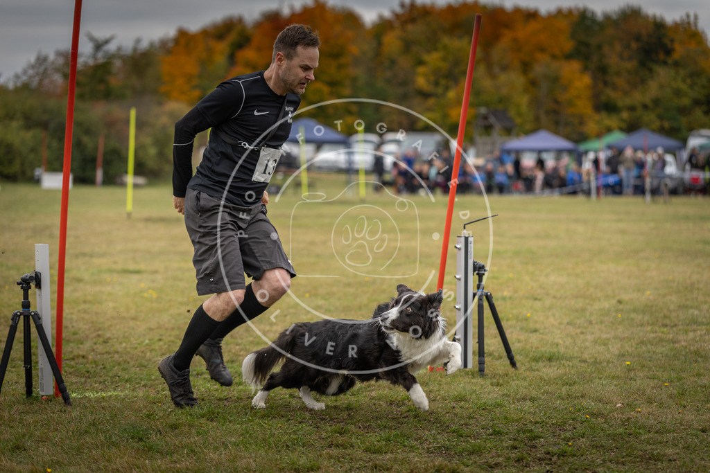 Pfotenfotografie_DV3A8307 | Hundefotografie, Tierfotograf, Pfotenfotografie, Fotoshooting Hund, Hunde Portrait, Hundesport, Hundeportraits, Heideshooting, Hunde, Sportfotograf, Hundefotograf, Turnierhundsport, THS,  - Realisiert mit Pictrs.com