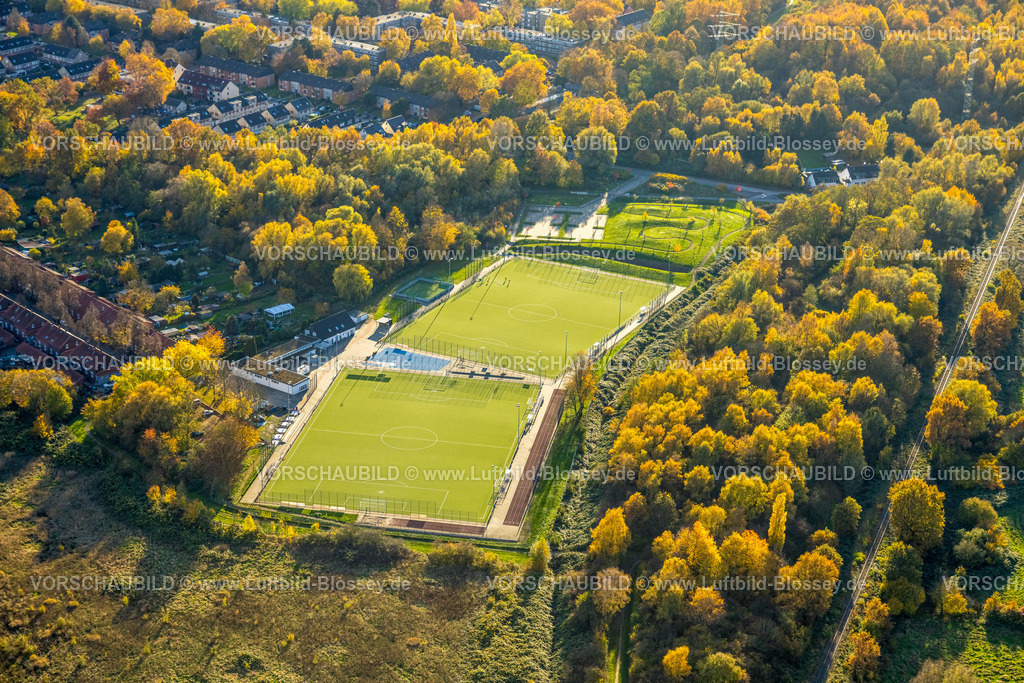 Gelsenkirchen251103115 | Luftbild, Sportanlage DJK SF Katernberg 13/19 e.V., herbstliche Bäume, Katernberg, Essen, Ruhrgebiet, Nordrhein-Westfalen, Deutschland