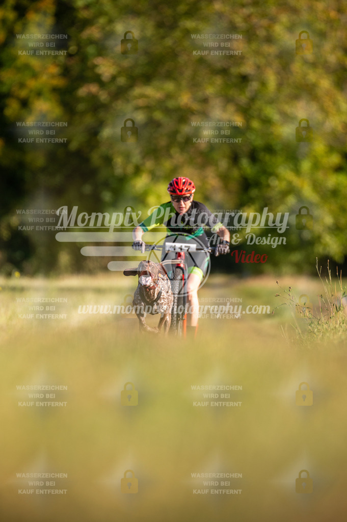 CDLBDB_15_10_2023_Dimanche-300 | PayLife