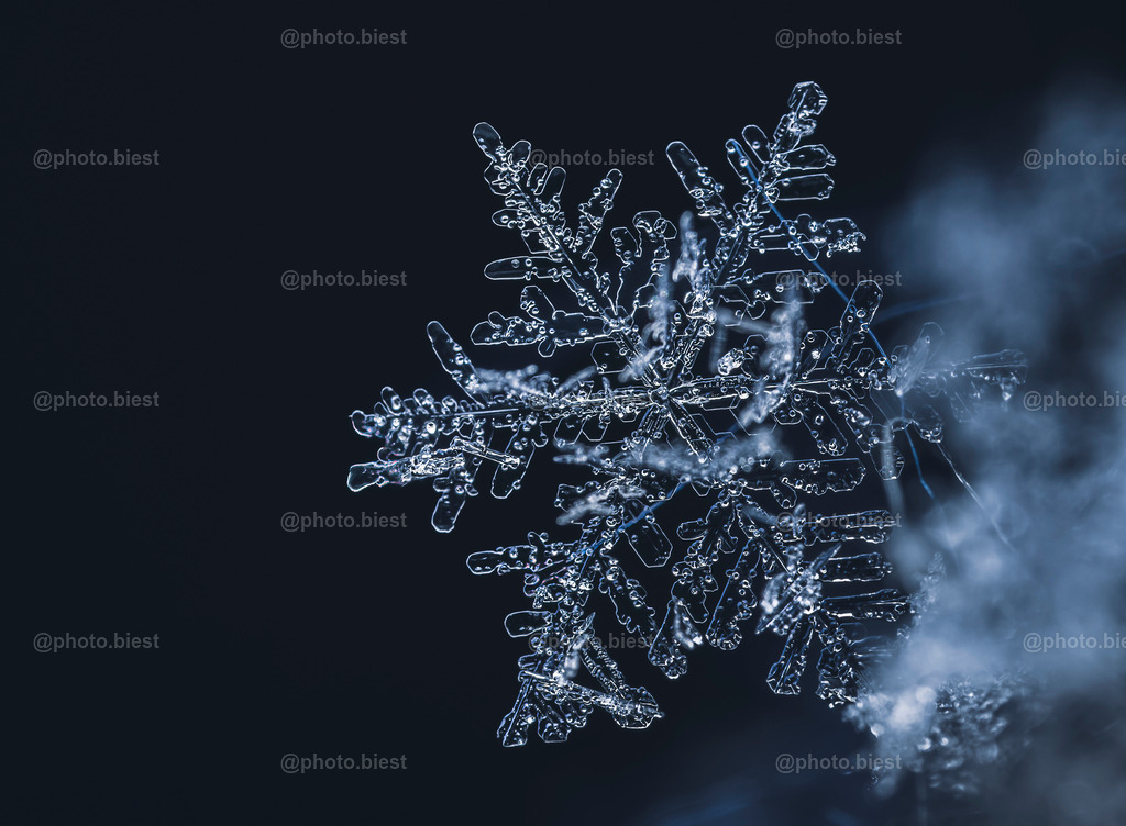Schneeflocke #8 | Eine (von vielen) filigranen Schneeflocken in meinem ersten Makro-Schneeflocken-Winter. - Realisiert mit Pictrs.com