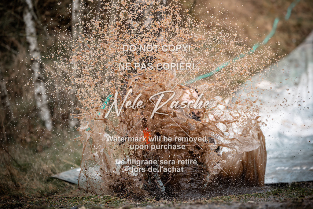 nelerasche_1330-1400_18 | nelerasche