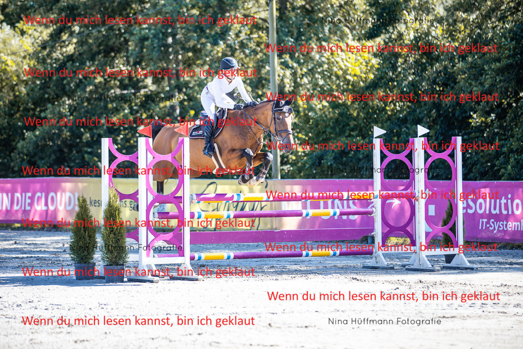 BK1A5657 | Turnierbilder Turnierfotos Nina Hüffmann Turnierfotografie Pferdefotografie Tierzeichnung Haustierzeichnung Pferdezeichnung Hundezeichnung Videograf  - Realisiert mit Pictrs.com