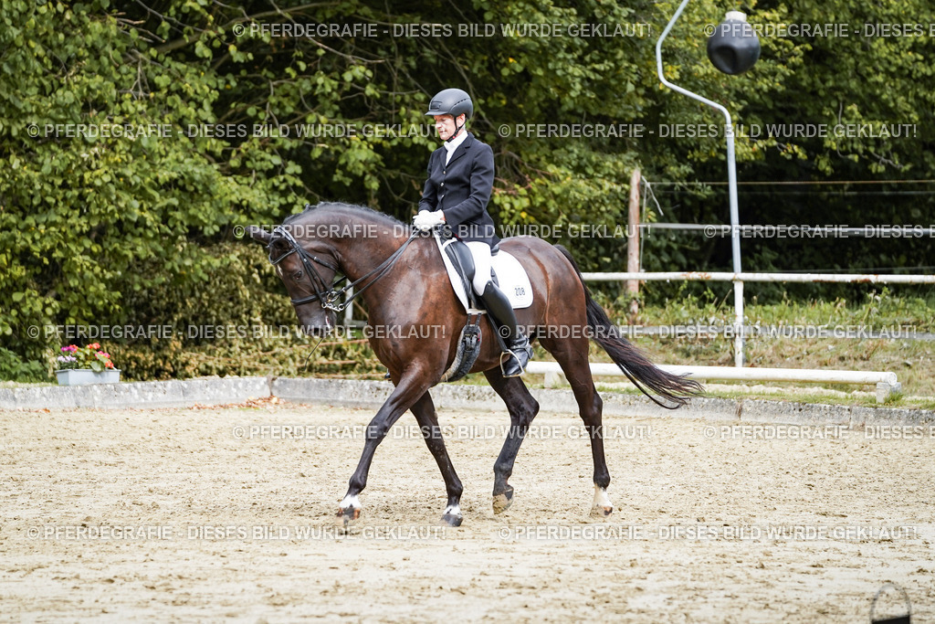 DSC05833 | Pferdegrafie