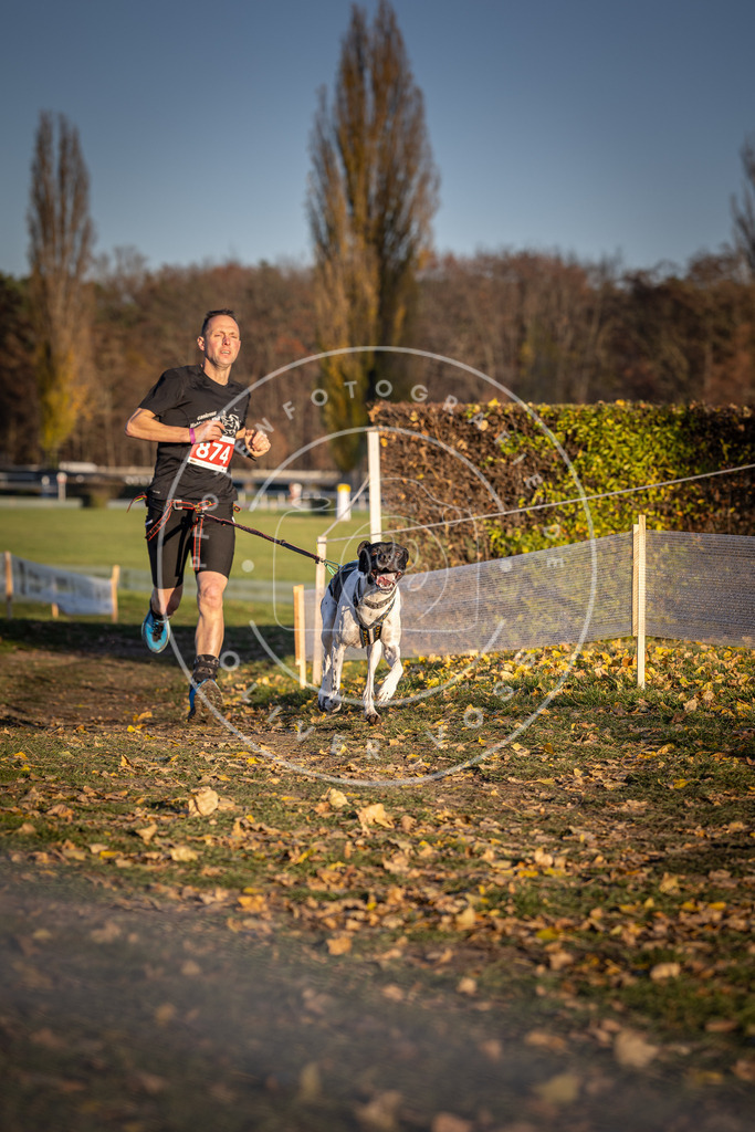 CaniXpix_DV3A4207 | Hundefotografie, Tierfotograf, Pfotenfotografie, Fotoshooting Hund, Hunde Portrait, Hundesport, Hundeportraits, Heideshooting, Hunde, Sportfotograf, Hundefotograf, Turnierhundsport, THS,  - Realisiert mit Pictrs.com