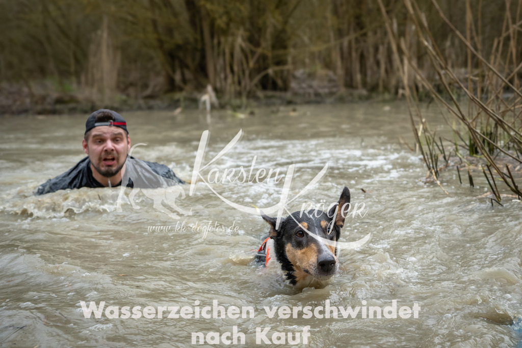 1525_ZZ92914 | kk-dogfotos