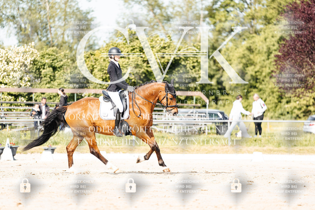 CK900123 | Turnierfotografie Pferdefotografie Trier Rheinland-Pfalz Pferdesport Reitsport Tierfotografie Sportfotografie Pferdevideo Pferdevideografie Equestrianvideography equestrianphotography  - Realisiert mit Pictrs.com