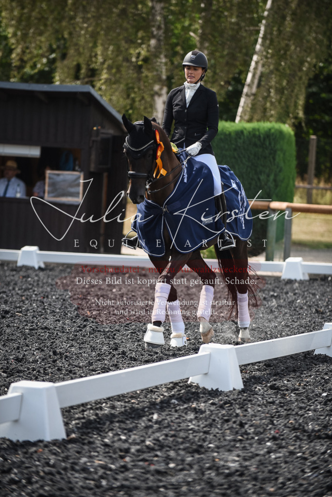 DSC_5184 | Pferde- und Turnierfotografie in Westsachsen. Pferdeportraits, Auftragszeichnungen und intuitive Kunst.