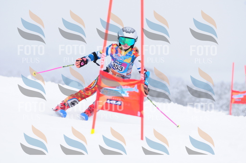 C3769 | holidayphoto