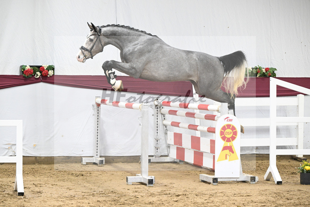 Kat-Nr. 83 Hickstead White x Chacco-Blue_Thomas Koeniger_47252830 | hf-fotografie - Realisiert mit Pictrs.com