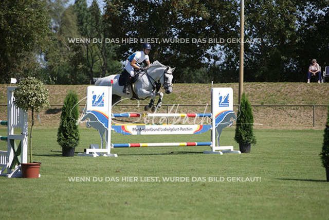 1J2A7680Johanna Dobner_ Kn029_ Caramella 20_ Sukow | Foto- und Videografie für alles rund ums Pferd. Hochwertige Bilder und Videos vom Spring- und Dressurreiten, Voltigieren & mehr. Jetzt aktuelle Veranstaltungen und Preise im Shop ansehen. - Realisiert mit Pictrs.com
