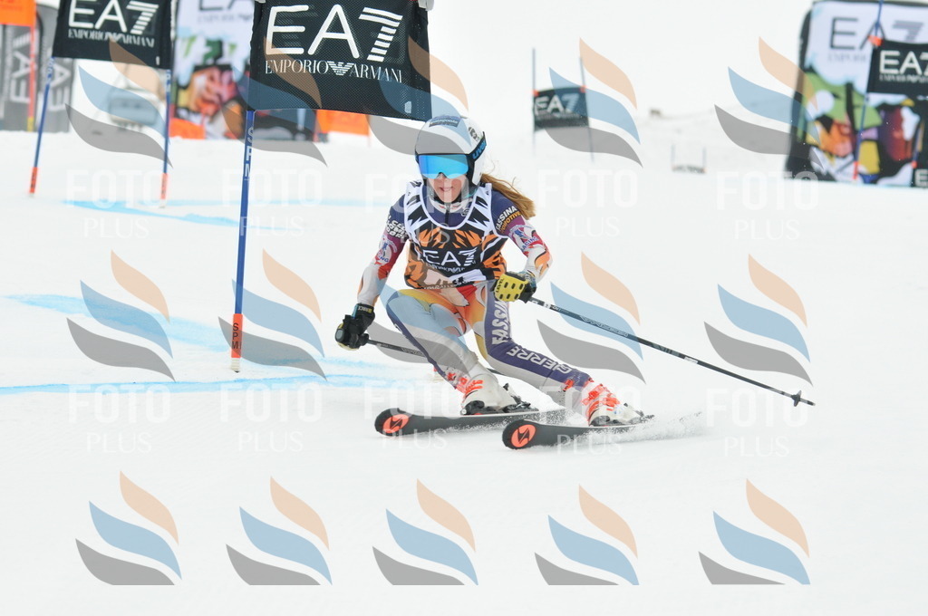 DSC_7669 | holidayphoto