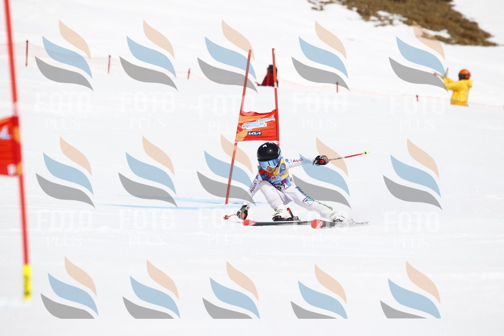 _U3G5715 | holidayphoto