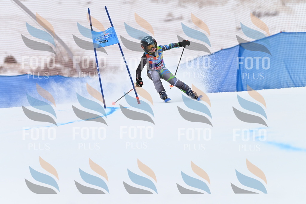 BGV_3206 | holidayphoto