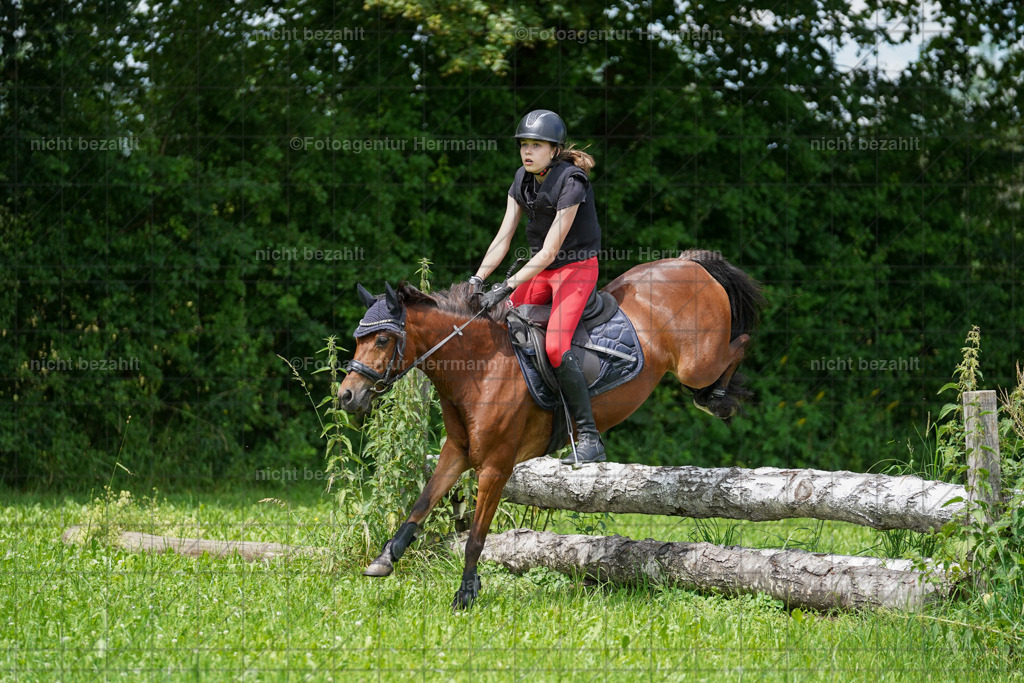 20240622-FAH07497 | Turnierfotografen Bayern, Reitsportbilder aus dem Geländekurs mit Felix Etzel auf dem Gut Waitzacker 2024