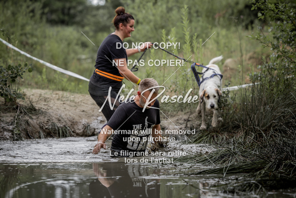 nelerasche_so0800-0930_422 | nelerasche