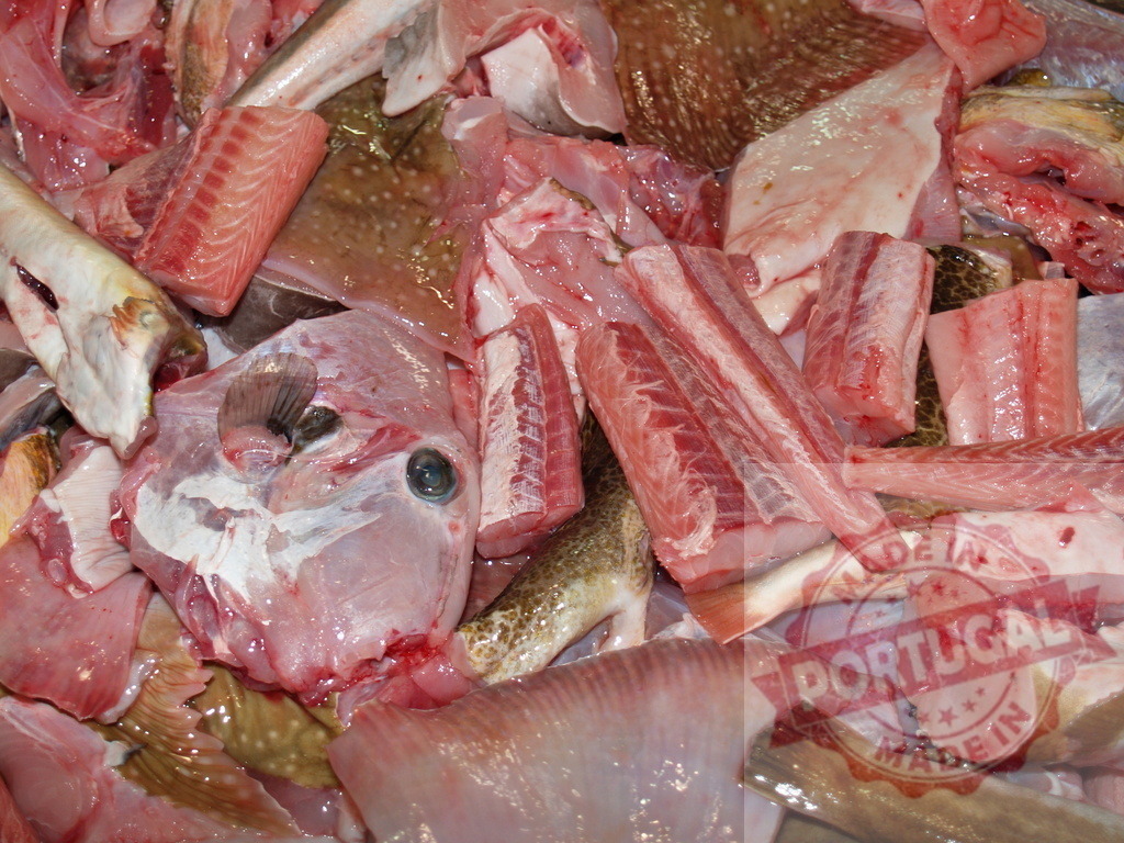 Fresh raw butchered fish scraps and heads | Pile of fresh raw fish fillets, pieces, and heads for sale at a market - Realisiert mit Pictrs.com
