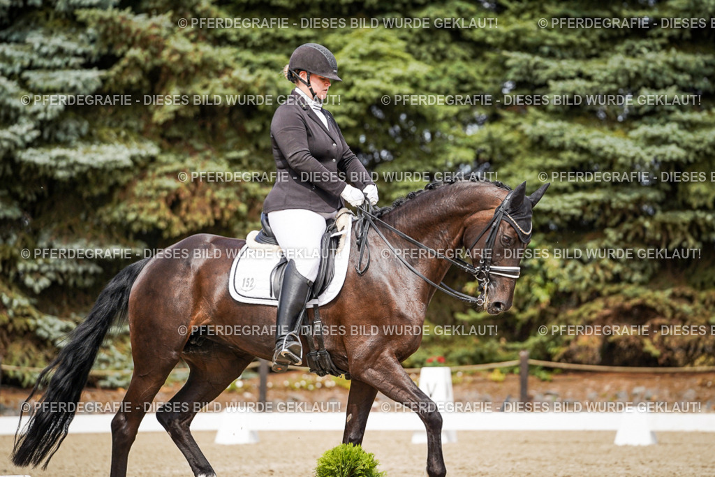 DSC05448 | Pferdegrafie