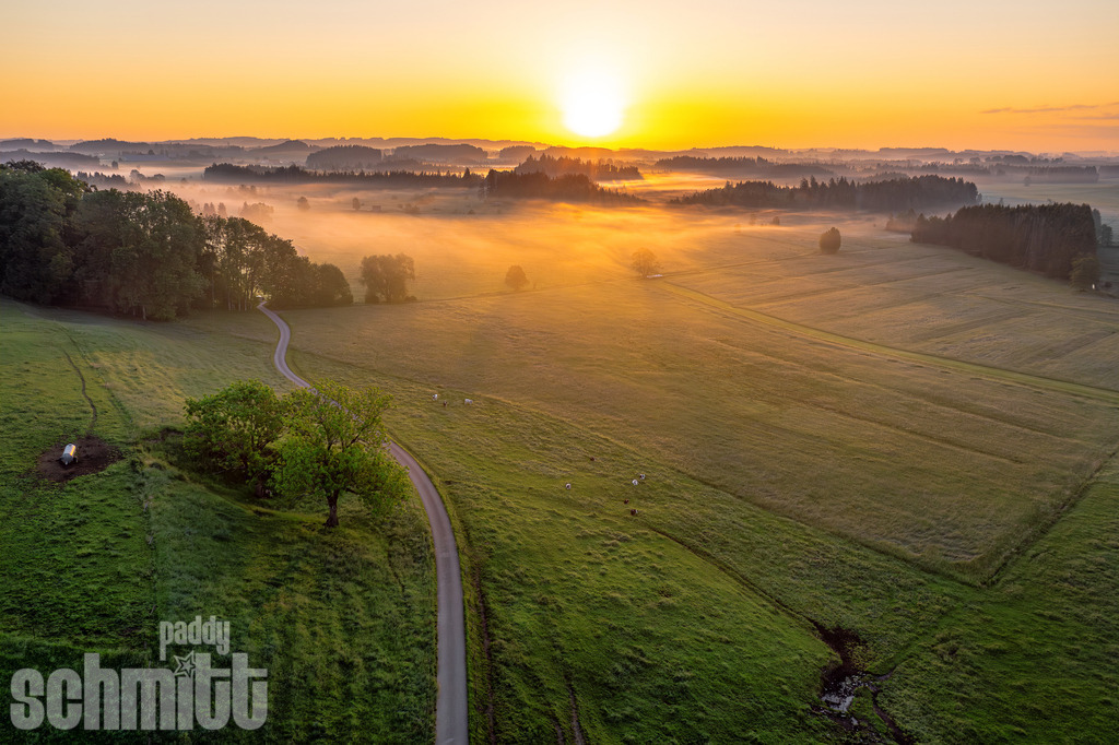 PS-Allgaeu-2026-155 | Entdecke die größte Bildgalerie der Region mit Fotografien aus dem Allgäu, der Bodenseeregion, Oberschwaben, dem Donautal und der Schwäbischen Alb. Landschaften, Luftaufnahmen und Reisefotografie als Wandbild und Fotokunst. - Realisiert mit Pictrs.com