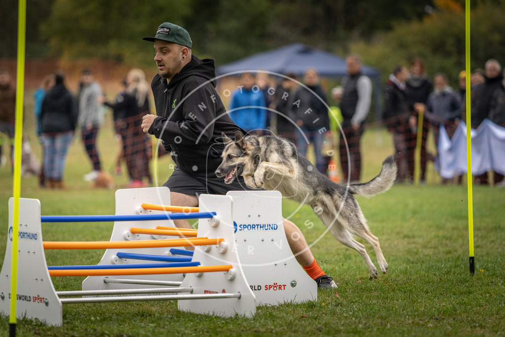 Pfotenfotografie_DV3A9626 | Hundefotografie, Tierfotograf, Pfotenfotografie, Fotoshooting Hund, Hunde Portrait, Hundesport, Hundeportraits, Heideshooting, Hunde, Sportfotograf, Hundefotograf, Turnierhundsport, THS,  - Realisiert mit Pictrs.com