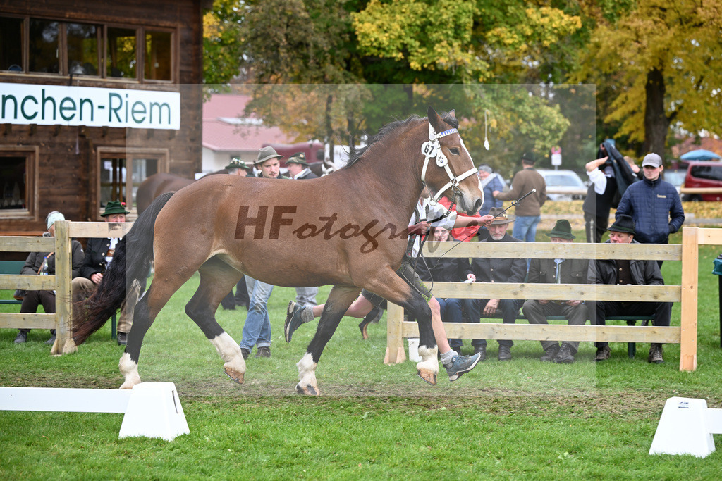 Kat-Nr. 67 Patrizia v. Spitzingsee_Holl_41251499 | hf-fotografie - Realizzato con Pictrs.com