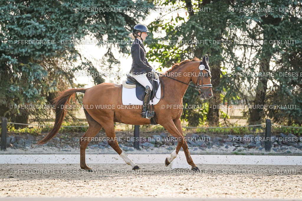 DSC08083 | Pferdegrafie