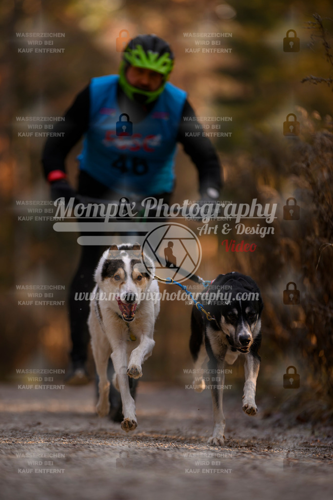 MompixPhotography_DM_AKDM_SO_2025_Scooter-45 | PayLife