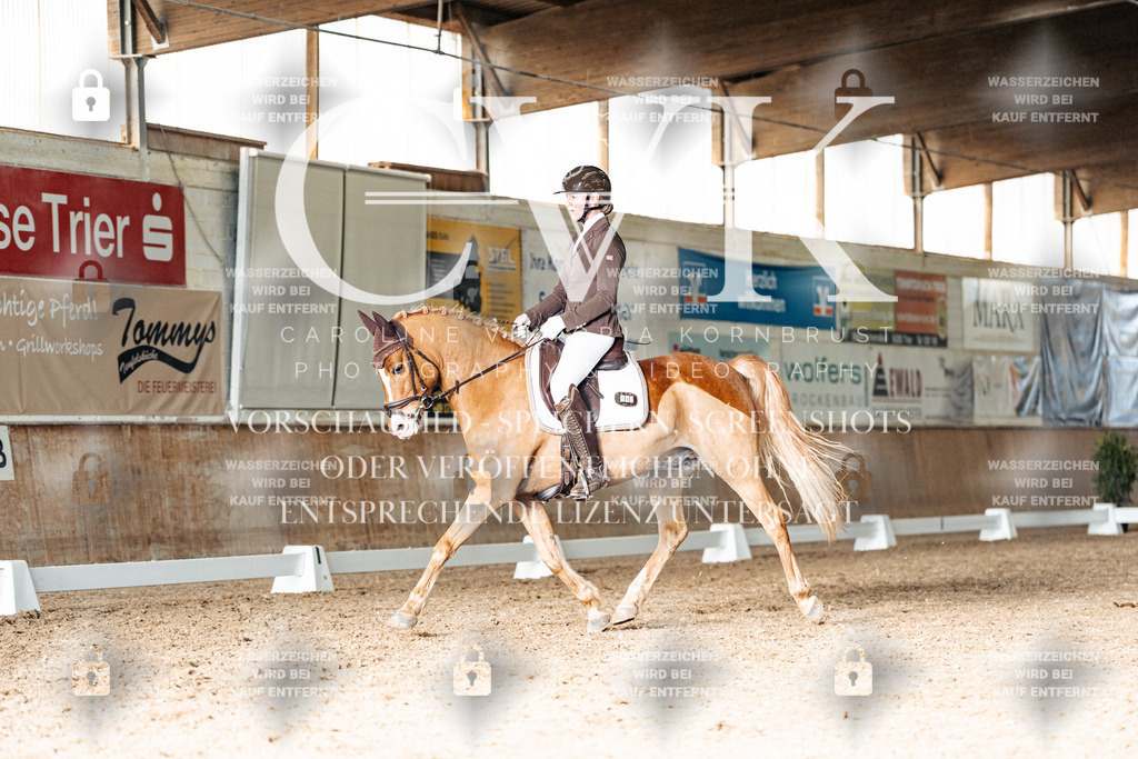 CK902926 | Turnierfotografie Pferdefotografie Trier Rheinland-Pfalz Pferdesport Reitsport Tierfotografie Sportfotografie Pferdevideo Pferdevideografie Equestrianvideography equestrianphotography  - Realisiert mit Pictrs.com