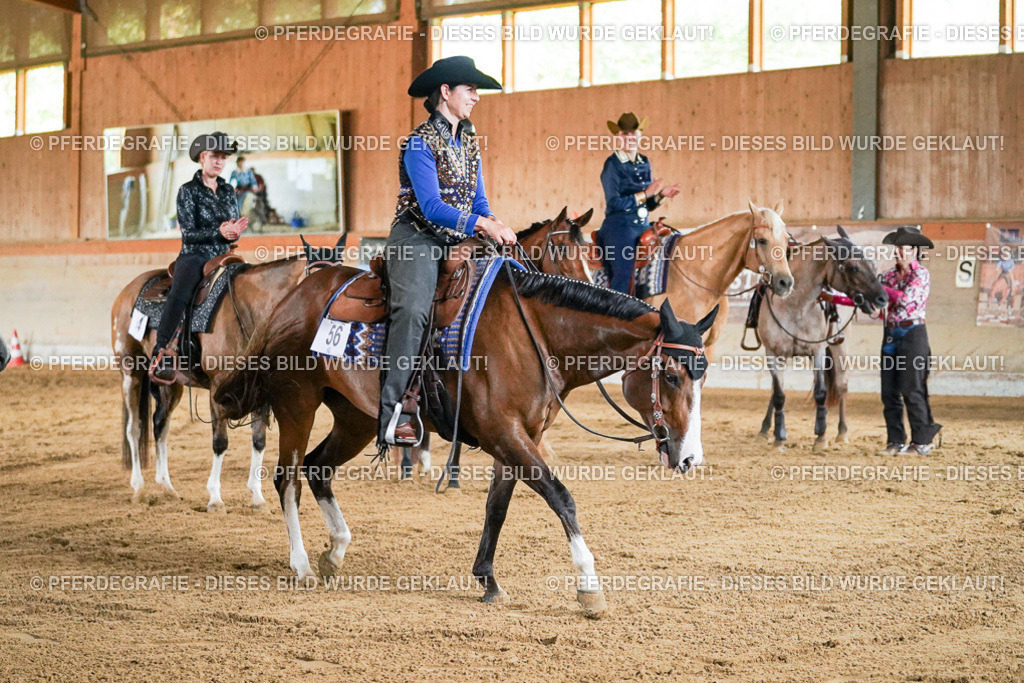 DSC05808 | Pferdegrafie