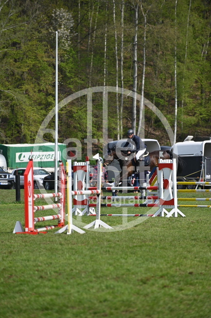 DSC_1272 | sattelsport - Realisiert mit Pictrs.com