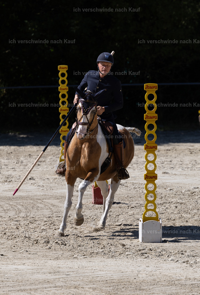 WS_Stil_122_KerstinBernhardt-6-5 | working equitationturnier fotograf videograf stoibphotography marixx film working equitation deutschland reitsport turnierfotografie eventfotografie equestrian events