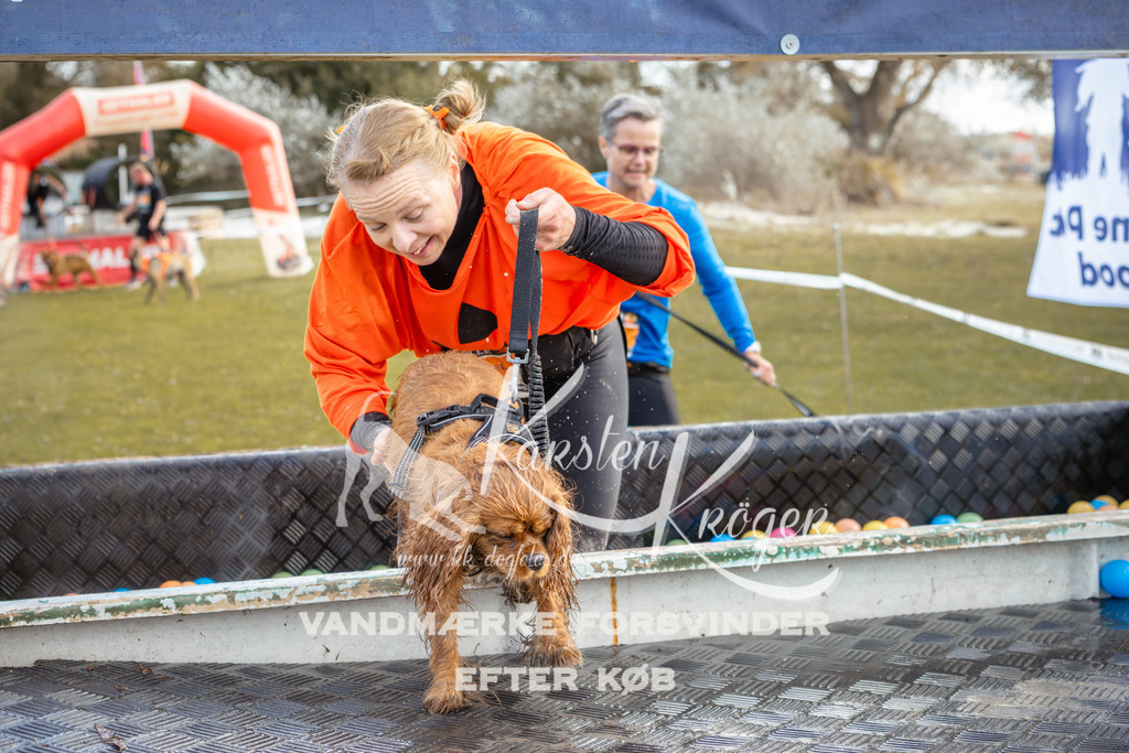 1414_ZZ93982-2 | kk-dogfotos