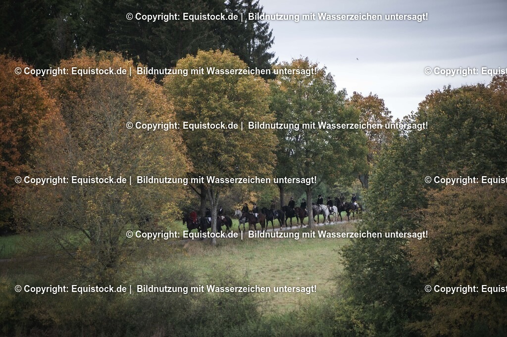 20241013_Jagd-Marbach_0260 | Foto: Thomas Hartig