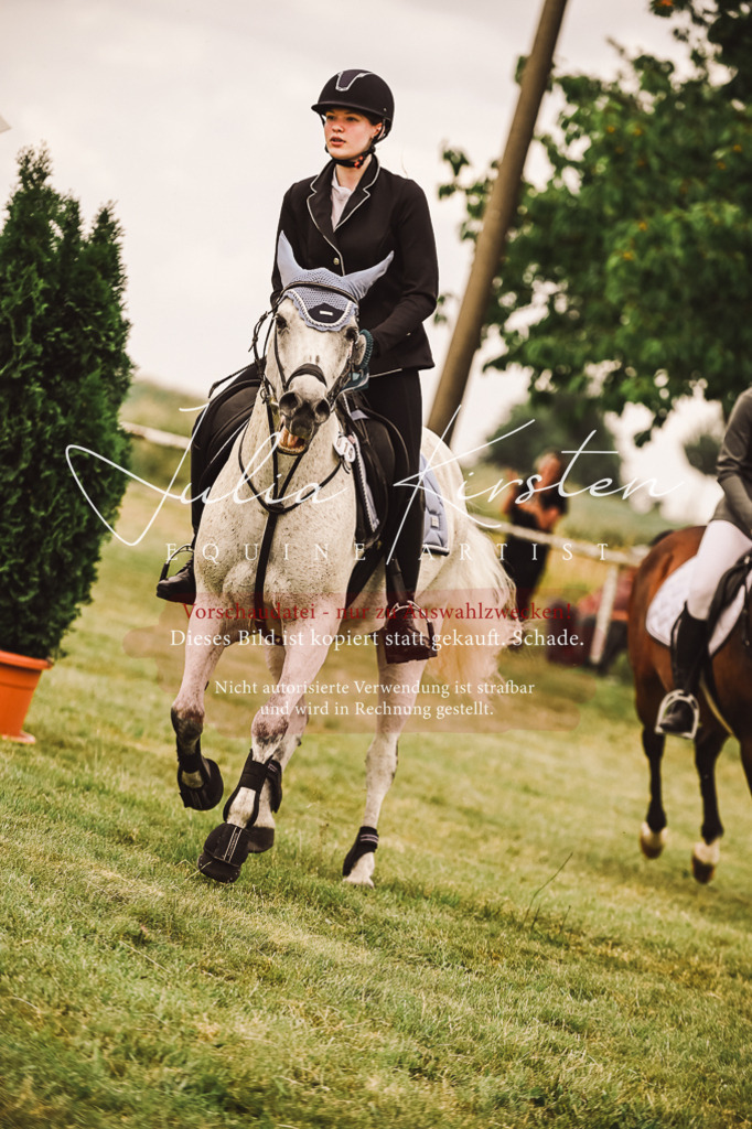 DSC_7010 | Pferde- und Turnierfotografie in Westsachsen. Pferdeportraits, Auftragszeichnungen und intuitive Kunst.