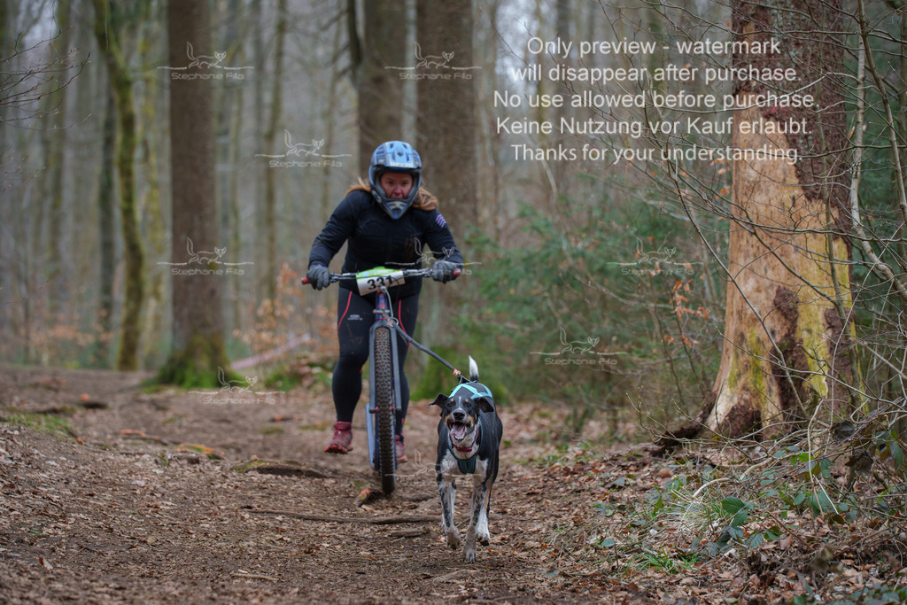 Scooter_So-120 | stephaniefillaphotographie - Realisiert mit Pictrs.com