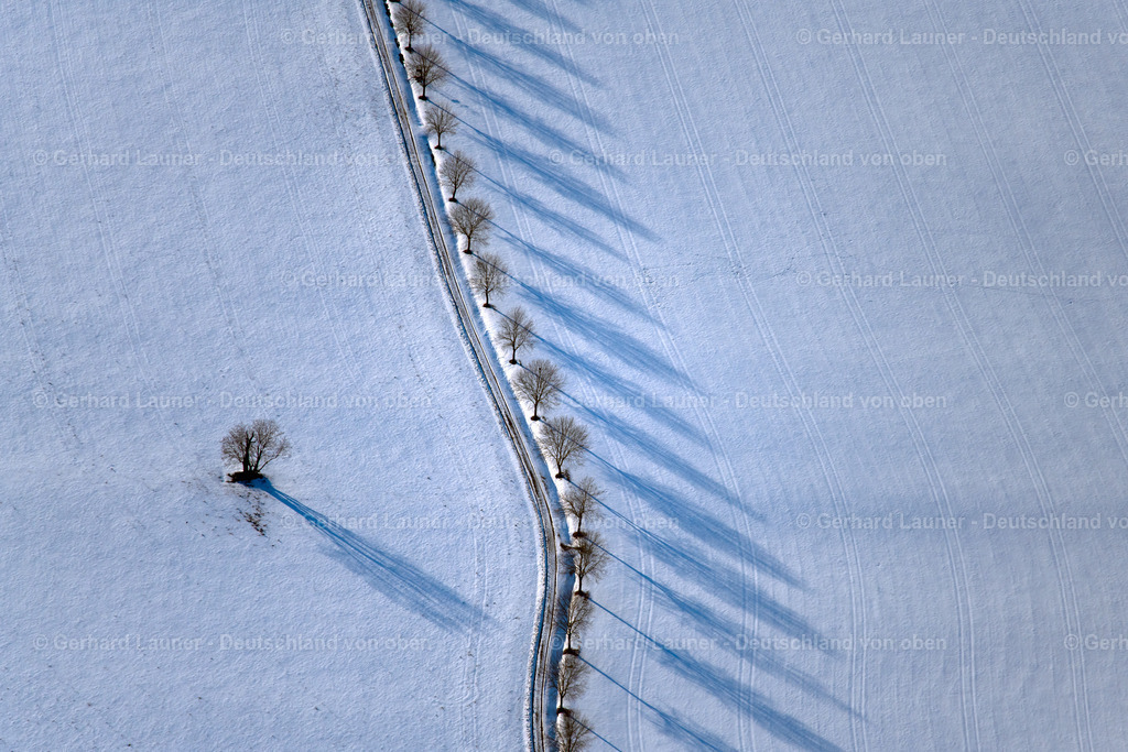 3900449 | winterliche Baumstrukturen bei Vilgertshofen